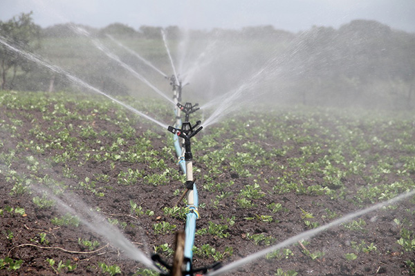 节水灌溉工程